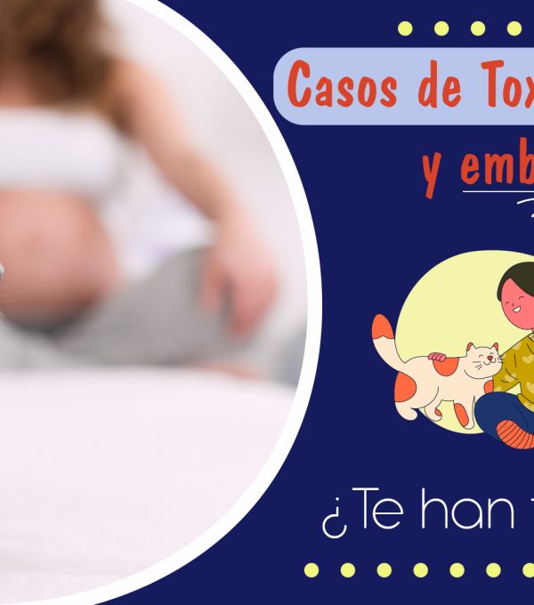 Casos de Toxoplasmosis y embarazo ¿Te han tocado?
