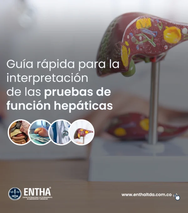 Guía rápida para la interpretación de las pruebas de función hepática
