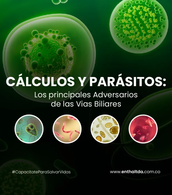 Cálculos y Parásitos: Los Principales Adversarios de las Vías Biliares