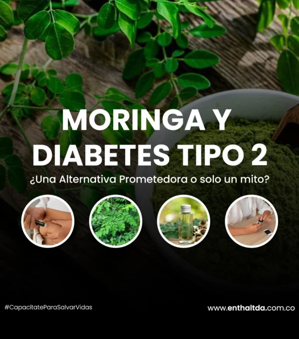Moringa y Diabetes Tipo 2: ¿Una Alternativa Prometedora o Solo un Mito?