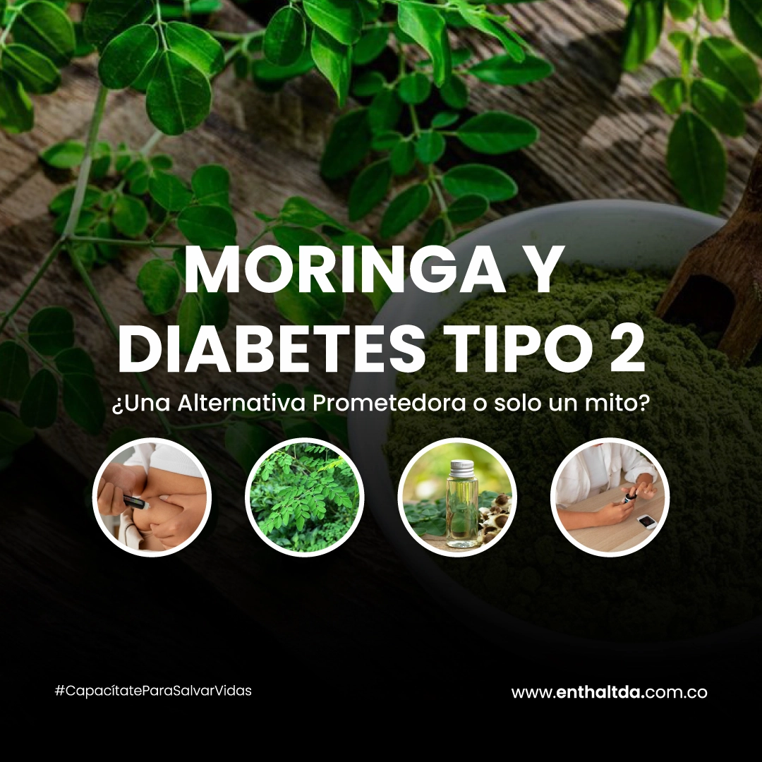 Moringa y Diabetes Tipo 2: ¿Una Alternativa Prometedora o Solo un Mito?