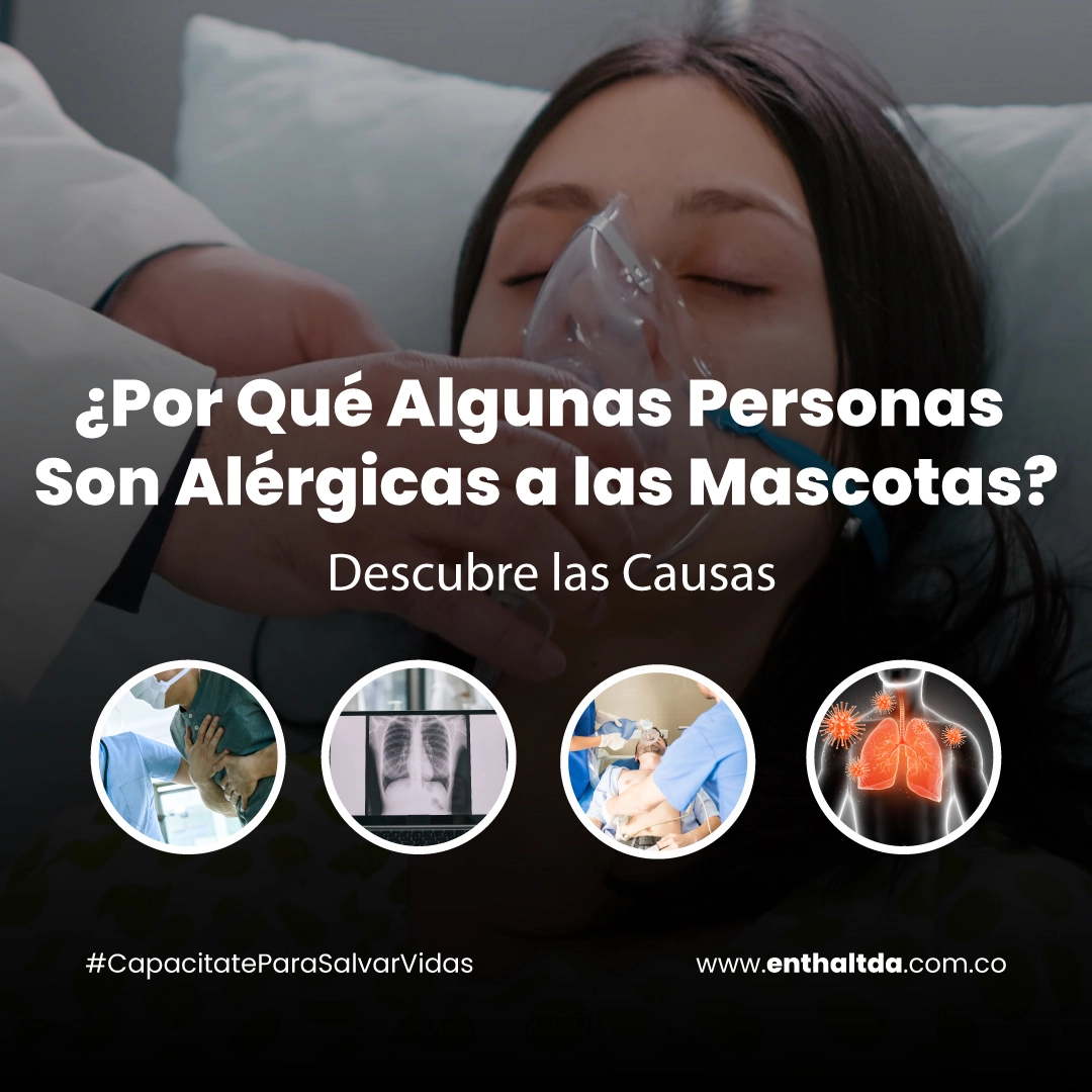 ¿Por Qué Algunas Personas Son Alérgicas a las Mascotas? Descubre las Causas