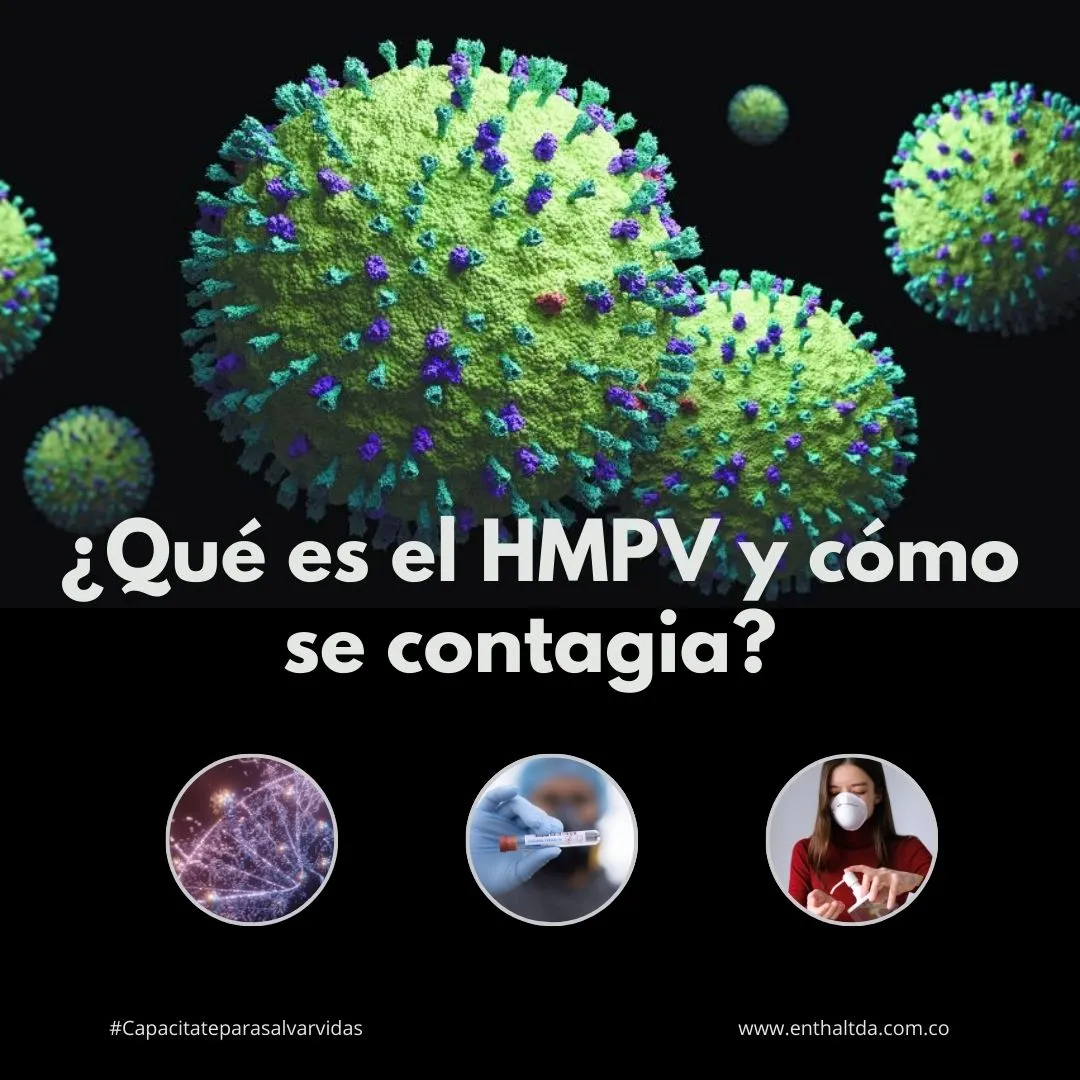 ¿Qué es el HMPV y cómo se contagia?