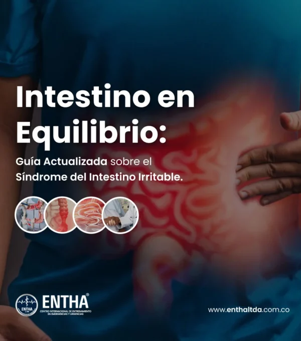 Intestino en Equilibrio: Guía Actualizada sobre el Síndrome del Intestino Irritable