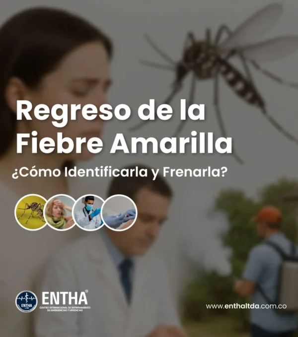 “El Regreso de la Fiebre Amarilla” ¿Cómo Identificarla y Frenarla?