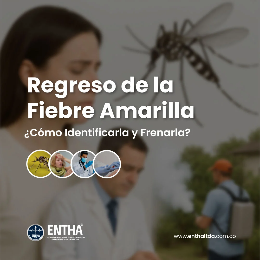“El Regreso de la Fiebre Amarilla” ¿Cómo Identificarla y Frenarla?