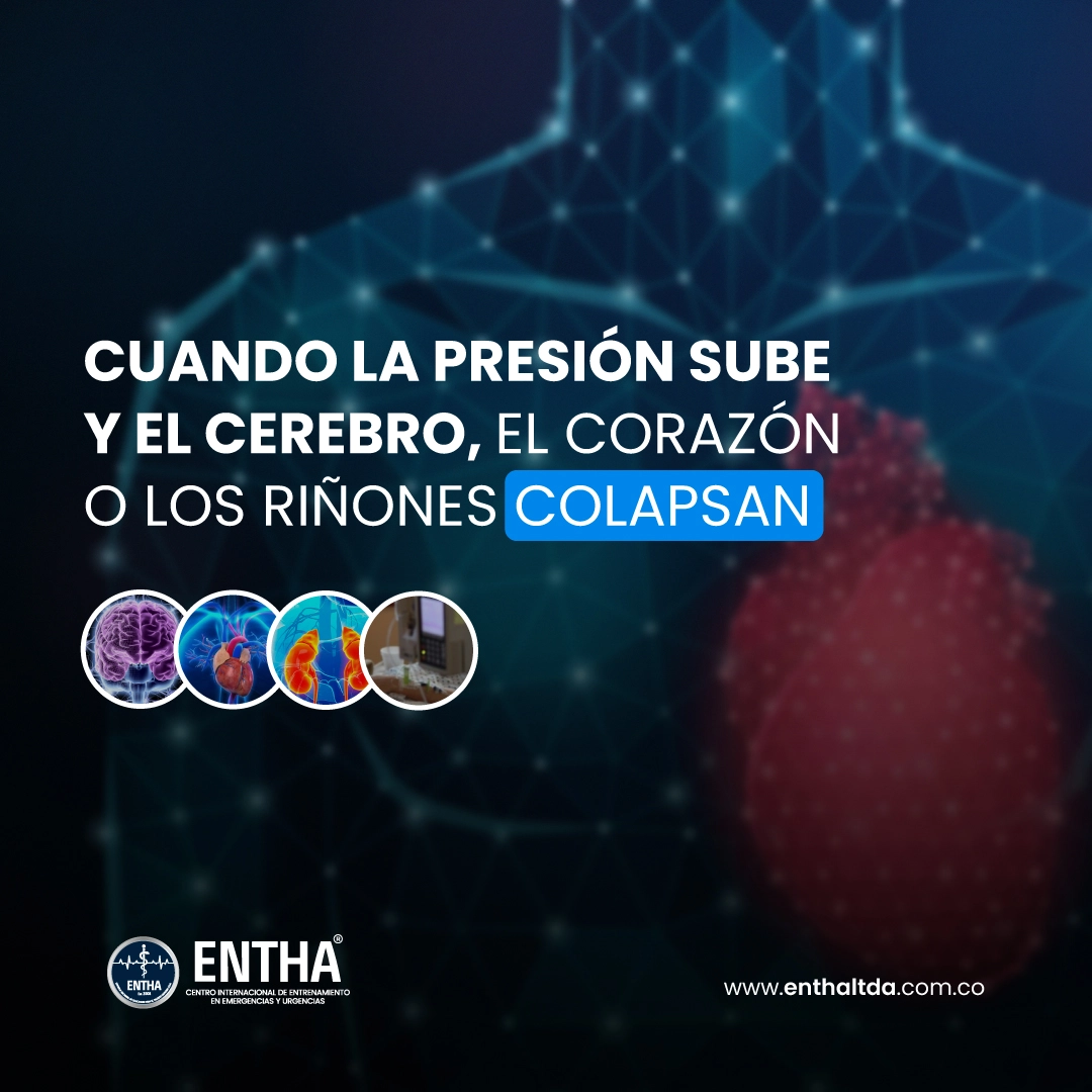 Cuando la presión sube… y el cerebro, el corazón o los riñones colapsan