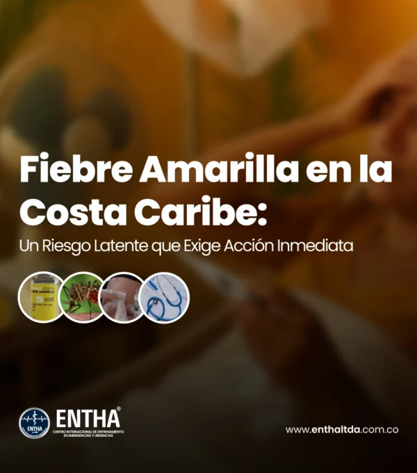 Fiebre Amarilla en la Costa Caribe: Un Riesgo Latente que Exige Acción Inmediata”