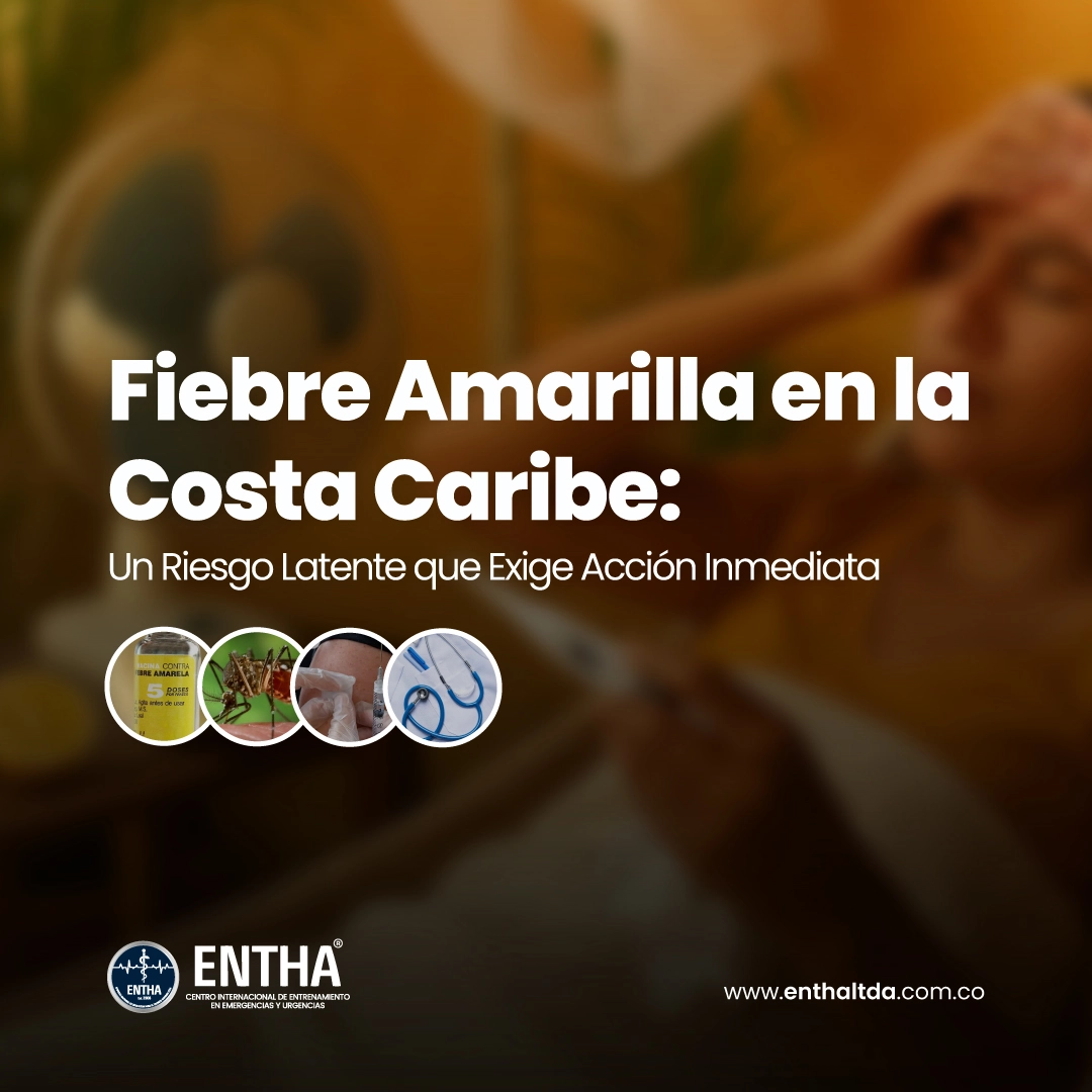 Fiebre Amarilla en la Costa Caribe: Un Riesgo Latente que Exige Acción Inmediata”