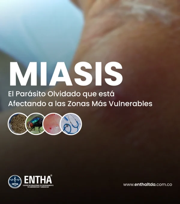 Miasis: El Parásito Olvidado que Está Afectando a las Zonas Más Vulnerables