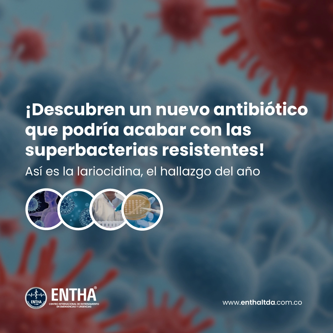 ¡Descubren un nuevo antibiótico que podría acabar con las superbacterias resistentes! Así es la lariocidina, el hallazgo del año