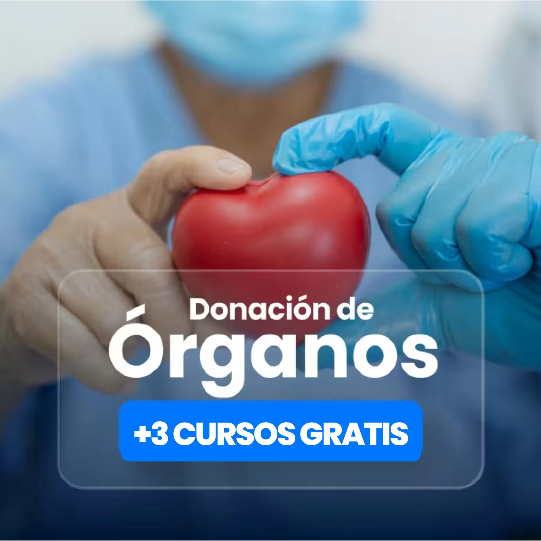 promocion curso de organos
