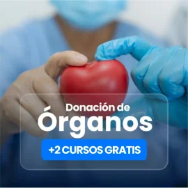 promocion curso de organos
